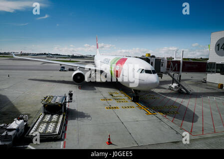 Airbus A330-200 (Padre Antonio Vieira) il portoghese del vettore nazionale tocca al gate 141 dall'Aeroporto di Lisbona, Portogallo Foto Stock