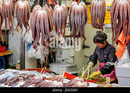 Mercato di Gyeongju Octopus bancarelle Corea del Sud Foto Stock