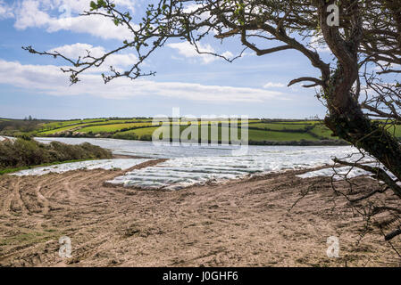 Plasticoltura Farmland campi Ag materie plastiche di pacciamatura plastica teli di plastica biodegradabile in politene film agricoli membrane in plastica Foto Stock