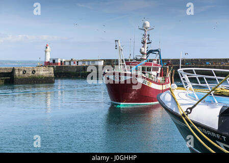 Newlyn porto di pesca SS118 Crystal mare Porto Porto di pesca barca peschereccio entrando in porto porto di pesca costiera Foto Stock