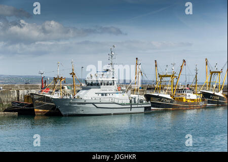 Newlyn Pesca Porto San Piran pesca nave pattuglia Harbour Porto barca da pesca di nave da pesca barche da pesca delle navi da pesca Foto Stock