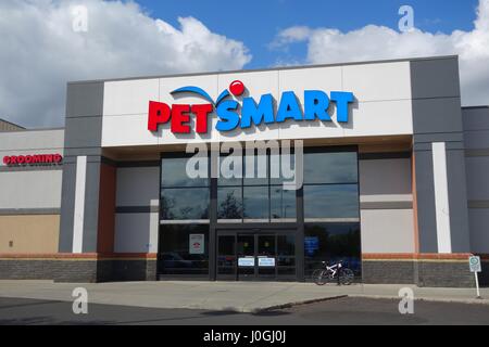 Petsmart pet shop di alimentazione in Alberta, Canada Foto Stock