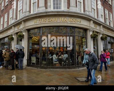 Bettys Café sale da tè in St Helen's Square, York, nello Yorkshire, Inghilterra, Regno Unito Foto Stock