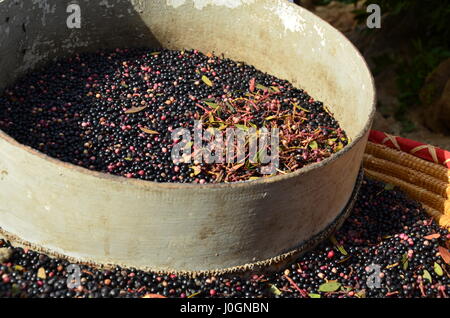 Frutto del mirto esposti al mercato Foto Stock
