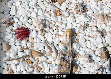 Close-up coperto di texture con colorate conchiglie e starfishes su bianco piccoli ciottoli sfondo Foto Stock