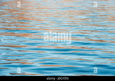 Riflessioni sulla superficie di acqua, Oceano Pacifico, STATI UNITI D'AMERICA Foto Stock