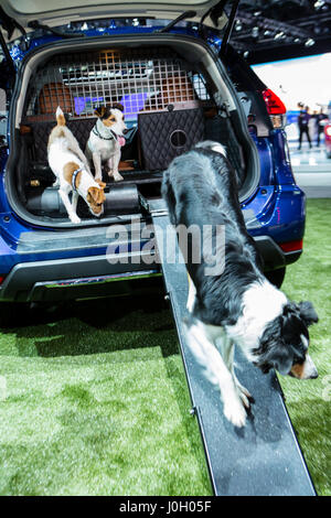 New York, NY - 12 aprile 2017. Nissan Rogue Dogue Concept SUV, progettato per essere dog-friendly. La rampa si ripiega e si ripone, e l'automobile comprende acqua per il lavaggio del cane, un essiccatore per il cane di essiccazione, e altri servizi. È improbabile che la vettura sarà prodotta, ma il dopo-mercato possono passo fino alla sfida. Foto Stock