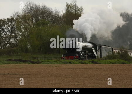 Sussex, Regno Unito. Il 13 aprile 2017. Il famoso Flying Scotsman treno a vapore che fa il suo primo viaggio nel Sussex lungo la linea ferrovia Bluebell tra Sheffield Park e East Grinstead. Il treno è in visita The Bluebell linea per il weekend di Pasqua. Roland Ravenhill/Alamy Live News Foto Stock