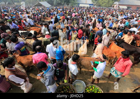 Una folla si raduna intorno a capi venduti a 'Baishmouja Haat' sulle rive del fiume Meghna al di Brahmanbaria Nabinagar Upazila. Bangladesh Foto Stock