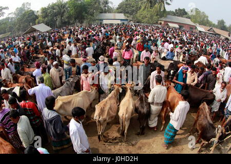 Una folla si raduna intorno a capi venduti a 'Baishmouja Haat' sulle rive del fiume Meghna al di Brahmanbaria Nabinagar Upazila. Bangladesh Foto Stock