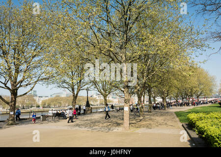 Proposta di sito del controverso Giardino Ponte a Londra il South Bank, Waterloo, Lambeth, REGNO UNITO Foto Stock