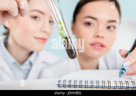 Vista ravvicinata di scienziate azienda pianta verde in provetta e prendere note Foto Stock