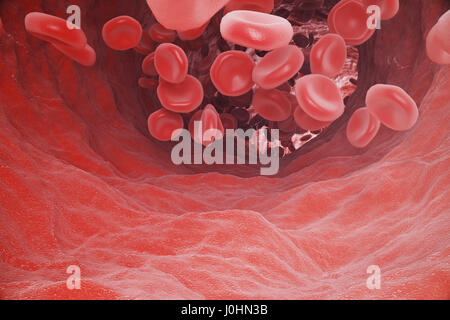 Le cellule rosse del sangue: responsabile per il trasporto di ossigeno al di sopra, regolamento il pH del sangue, un alimento e la protezione delle gabbie di un organismo. Il rendering 3D Foto Stock