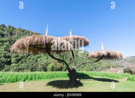 Ombrello in legno a Doi Ang Khang, Chiang Mai, Thailandia Foto Stock