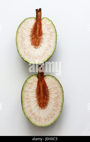 L'albero del pane fresco o Breadnut o noto anche come Artocarpus altilis isolata contro uno sfondo bianco Foto Stock