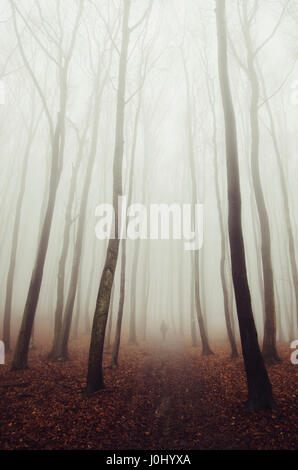 Misty strada forestale con silhouette uomo a distanza Foto Stock