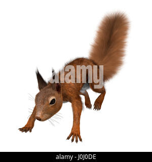 3D rendering di un Europeo scoiattolo rosso isolato su sfondo bianco Foto Stock
