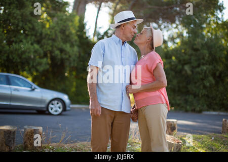 Amorevole coppia senior romancing in banchina Foto Stock