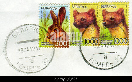 GOMEL, Bielorussia, 10 aprile 2017. Timbro stampato in Bielorussia mostra immagine del Lepus europaeus e Martes martes, circa 2008. Foto Stock