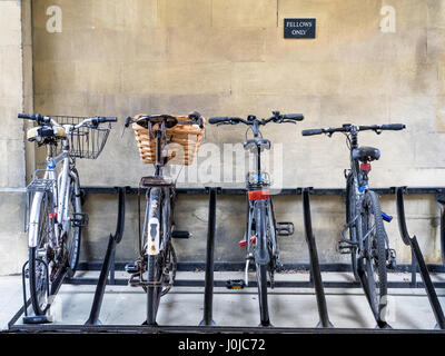 Borsisti Bikes con rack in Peterhouse College, parte dell'Università di Cambridge. Il più antico College di Cambridge, è stato fondato nel 1284. Foto Stock