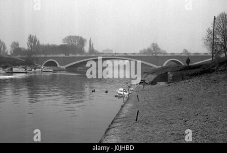 Il nuovo ponte di Runnymede, che porta il nuovo Staines By-pass sulla A30 (Londra Penzance) trunk road sul Fiume Tamigi presso Bell Weir, vicino a Runnymede. Foto Stock