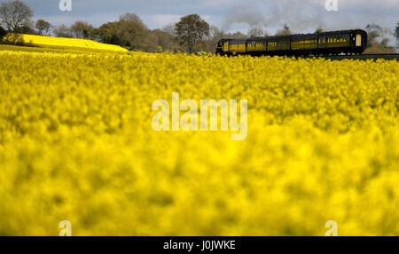 Un British Railways Classe Standard 9F treno a vapore che rende il modo lungo la linea di crescione vicino a Ropley in Hampshire. Foto Stock