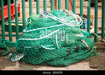 Nido di pesca in porto Foto Stock