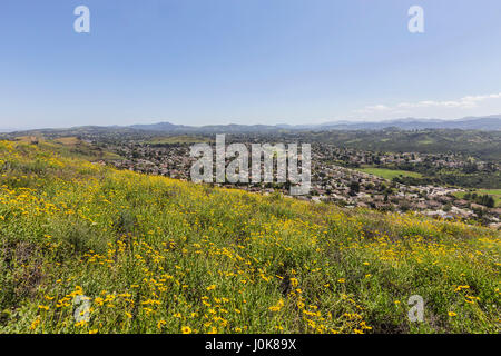 Fioritura vista collina di Thousand Oaks in Ventura County, California. Foto Stock