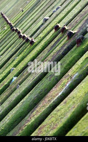Sheringham revetment difese di mare Foto Stock