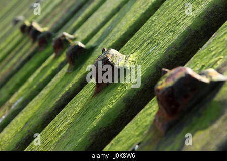 Sheringham revetment difese di mare Foto Stock
