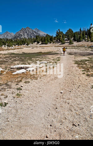 CA03206-00...CALIFORNIA - escursionista a trail intersezione di seguito Kearsarge Pass sul combinato JMT/PCT in Kings Canyon Parco Nazionale. Foto Stock