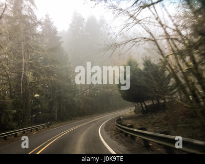 La svolta a destra con pioggia venuta giù e la nebbia in aria su questo paese highway road in Oregon. Foto Stock