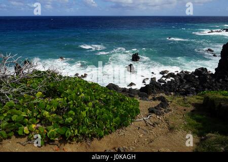 Blackrocks sito naturale, Sadlers, Saint Kitts e Nevis. Foto Stock