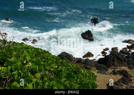 Blackrocks sito naturale, Sadlers, Saint Kitts e Nevis. Foto Stock