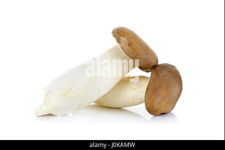 Re di funghi orecchioni isolato su uno sfondo bianco. Foto Stock