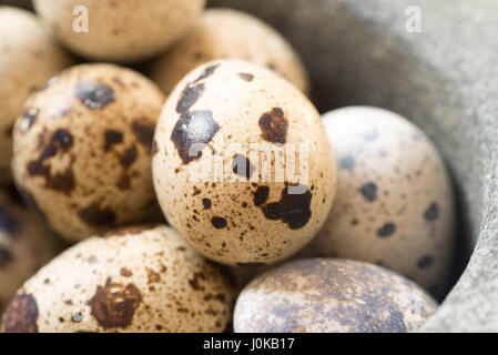 Gruppo di uova di quaglia su tavola Foto Stock