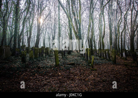 Cimitero lodz Foto Stock