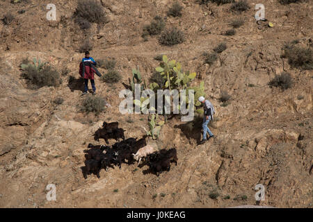 Due giovani uomini scendono ad un allevamento di capre al mercato setti fatma, ourika valley. Atlas Mountains, Marocco Foto Stock