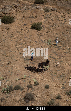 Due ragazzi scendono ad un allevamento di capre al mercato setti fatma, ourika valley. Atlas Mountains, Marocco Foto Stock