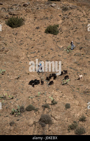 Due ragazzi scendono ad un allevamento di capre al mercato setti fatma, ourika valley. Atlas Mountains, Marocco Foto Stock