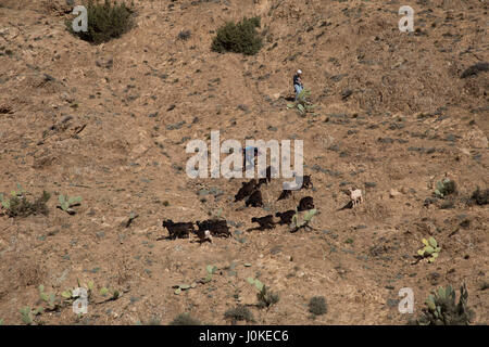 Due ragazzi scendono ad un allevamento di capre al mercato setti fatma, ourika valley. Atlas Mountains, Marocco Foto Stock