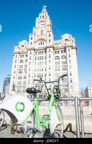 Royal Liver Building, City Bikes, biciclette, Pier Head, Liverpool, Merseyside, Inghilterra, UNESCO, città patrimonio dell'umanità, città, Nord, Inghilterra, inglese, Regno Unito. Foto Stock