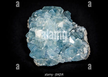 Pezzo di celestite o Celestino cristallo in studio shot Foto Stock