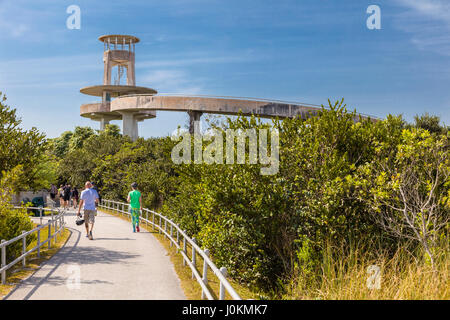 La Valle di squalo torre di osservazione nella valle di squalo area di Everglades National Park Florida Foto Stock