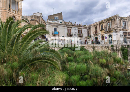 Fontana di Arethusa (Fonte Aretusa) con piante di papiro su l'isola di Ortigia, la parte storica di Siracusa, a sud-est dell'isola di Sicilia, Italia Foto Stock