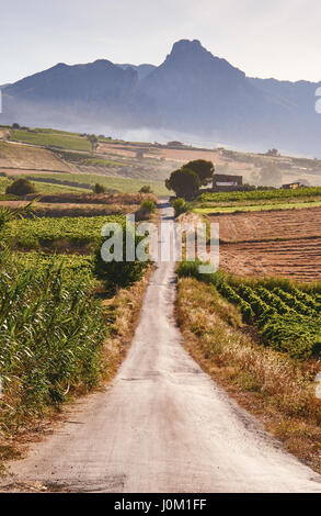 Country Road, la coltivazione dei campi, montagne sullo sfondo - Sicilia, Italia Foto Stock