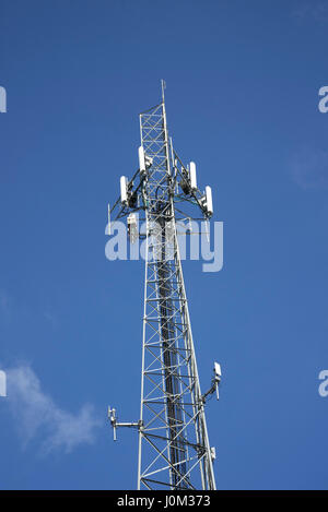 Gainesville regionale cella Utilities tower tower a Gainesville, Florida. Foto Stock