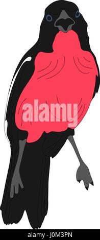 Ritratto di una crimson breasted shrike Illustrazione Vettoriale