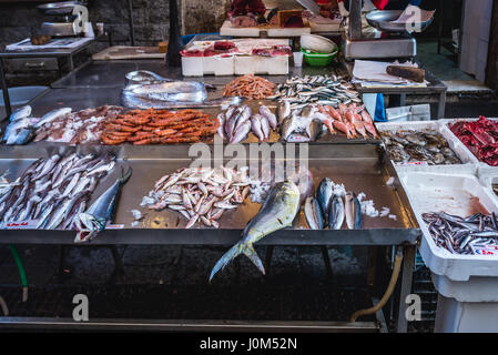 Pesci e gamberetti per la vendita sul quotidiano mercato all'aperto nella città di Siracusa, angolo sud-est dell'isola di Sicilia, Italia Foto Stock