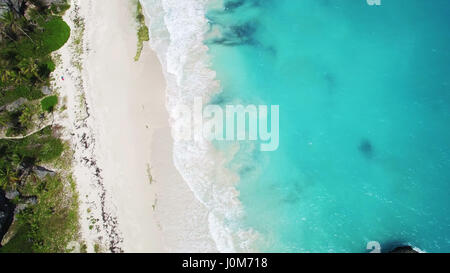 Vista aerea: spiaggia caraibica di Barbados Foto Stock